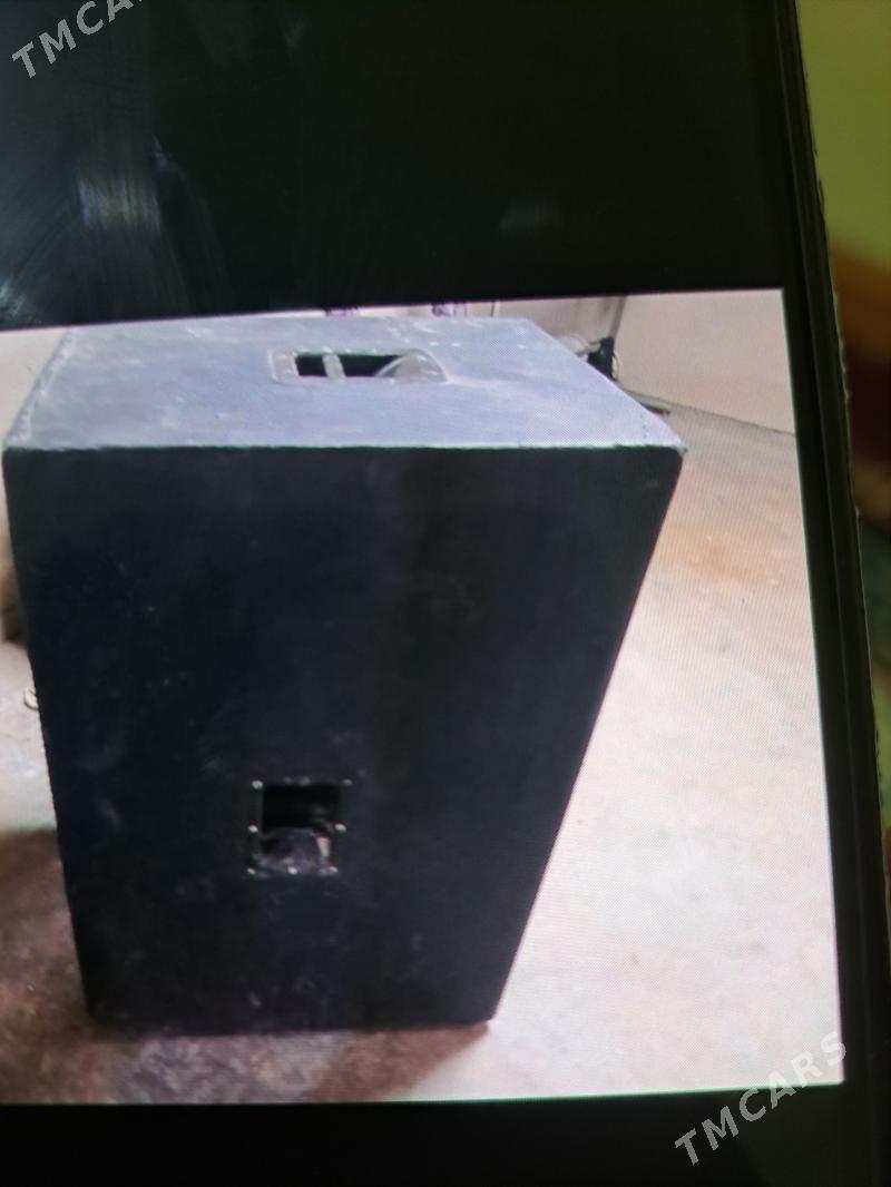 karopka niski - Gurbansoltan Eje - img 2