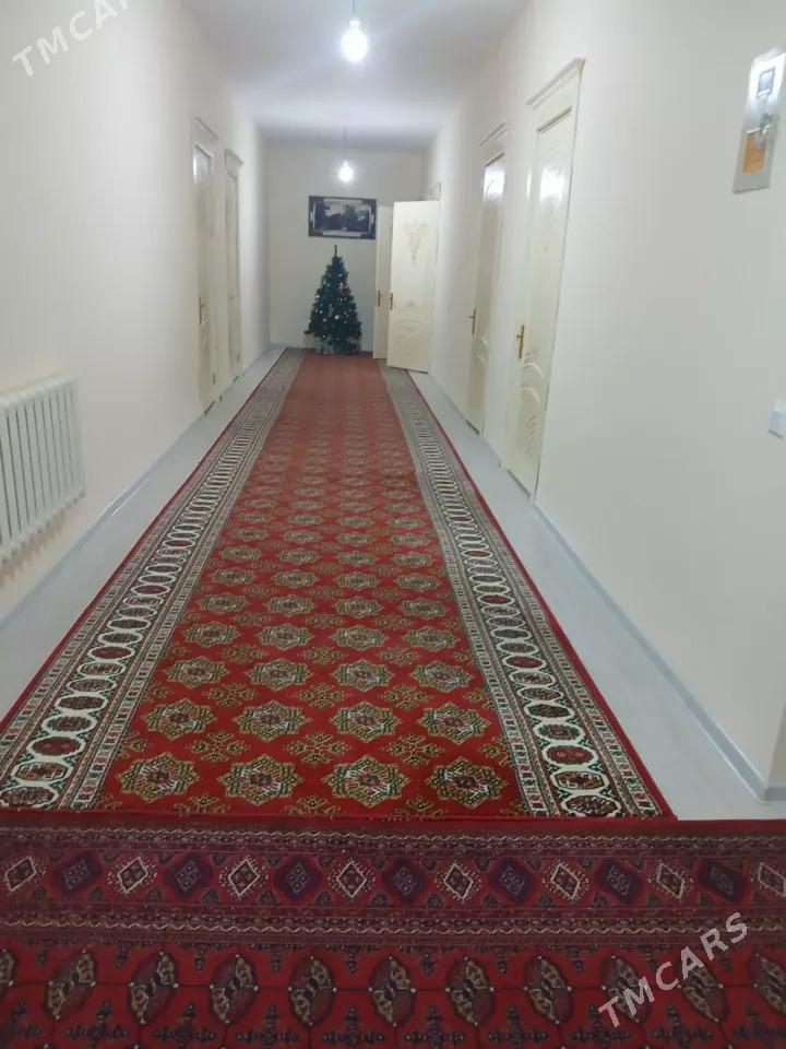 elitka jay - Дашогуз - img 6