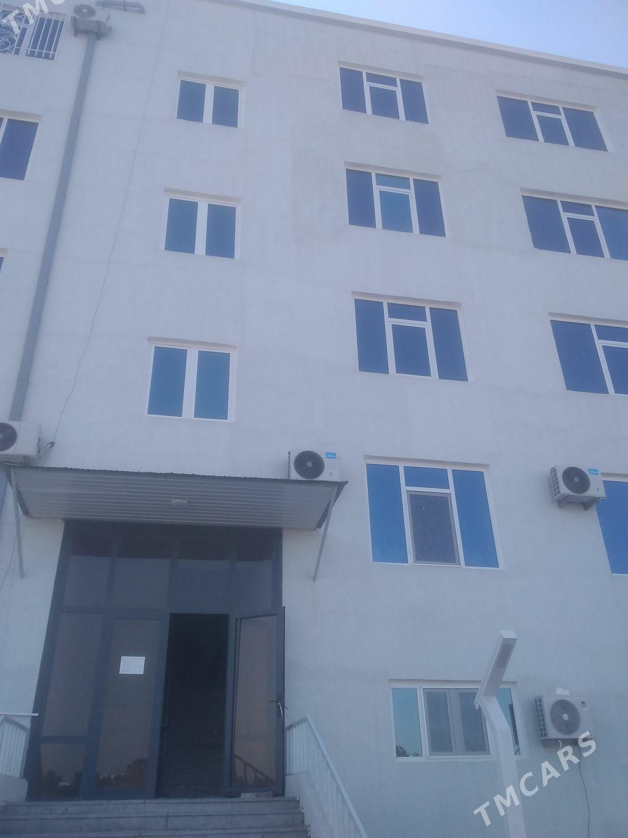 elitge jay - Mary - img 2