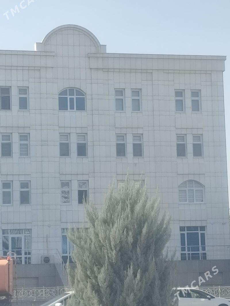 taslama jay - Кëши - img 2