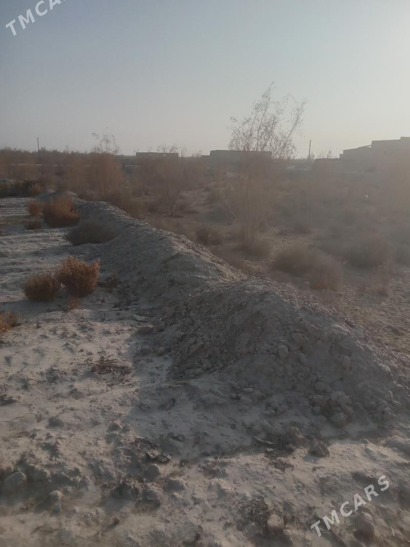 Satlyk çöl mellek - Saýat - img 2