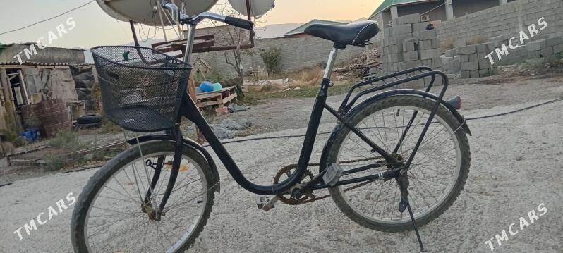 tigir - Bagyr - img 2