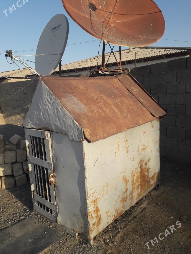 Gush ketek - Gyzylarbat - img 3