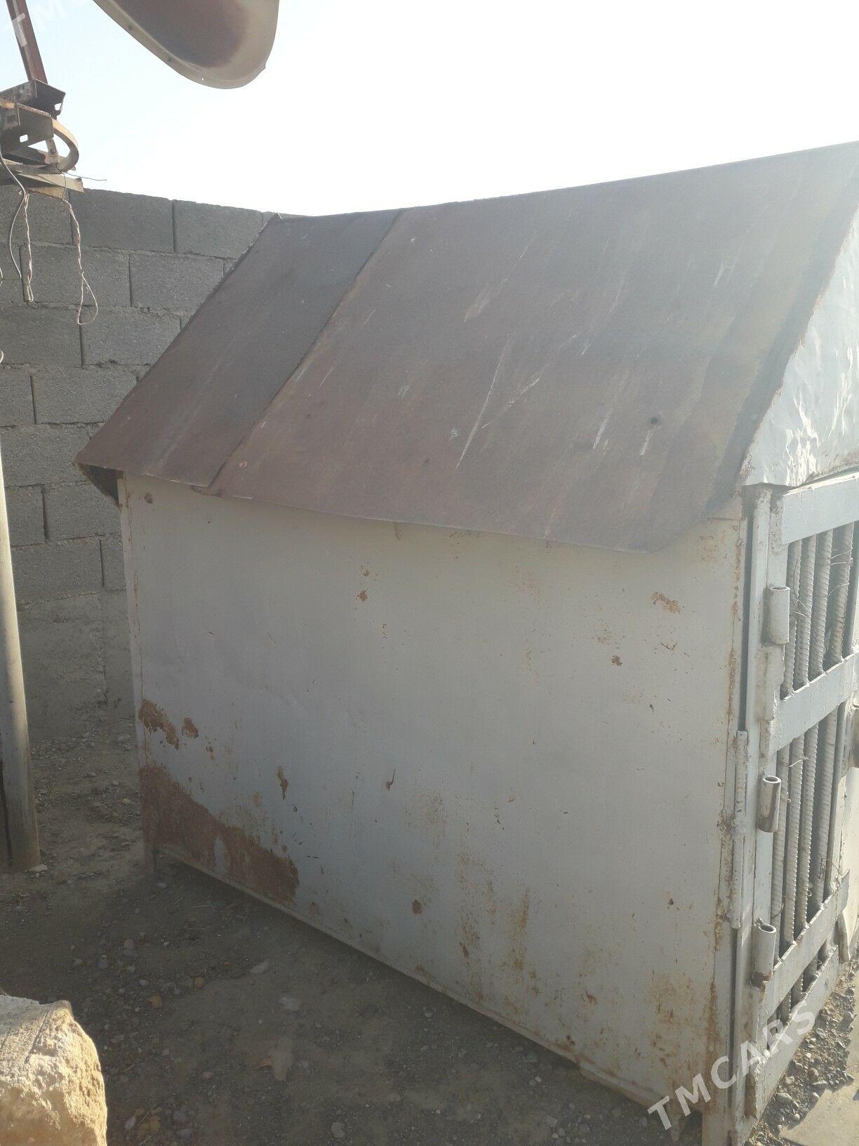 Gush ketek - Gyzylarbat - img 2