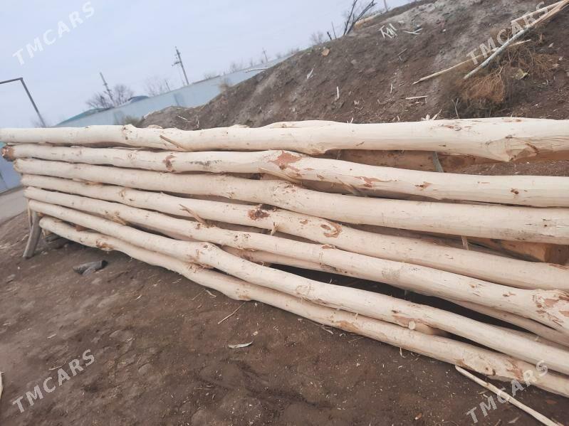 agaç - Губадаг - img 1