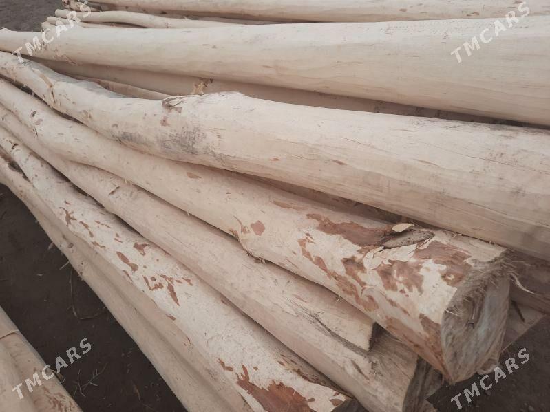 agaç - Губадаг - img 2