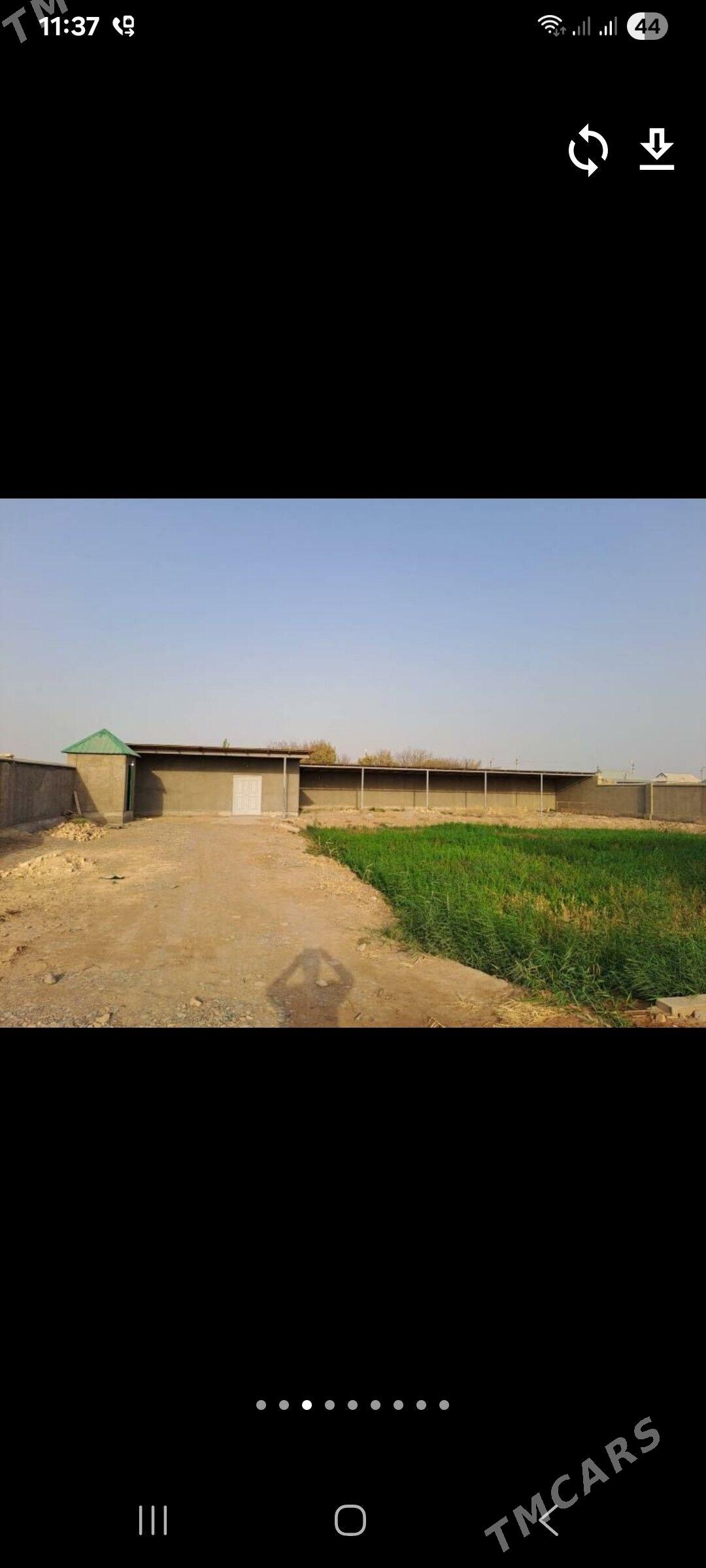 Howly plan jaý - Бабадайхан - img 2