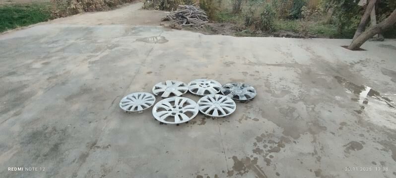 KALPAK 50 TMT - Sakarçäge - img 2