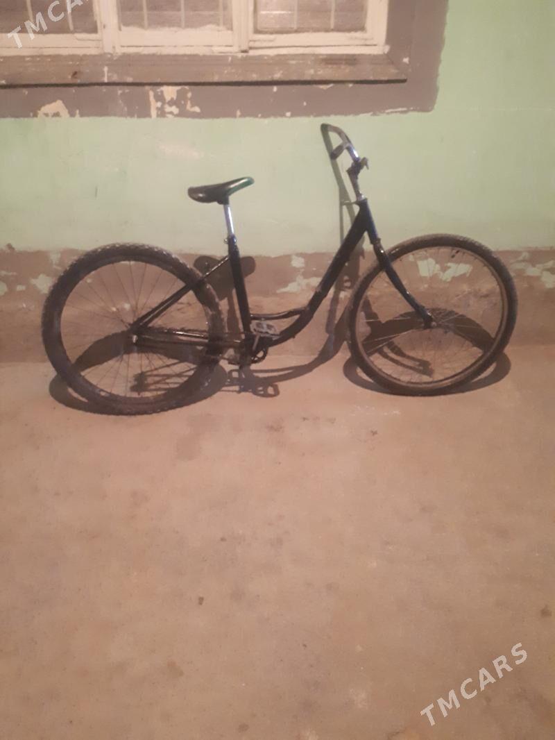 tigir - Büzmeýin - img 2