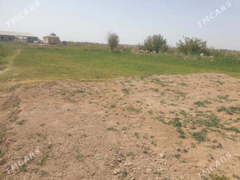 satlyk jaý mellek - Baýramaly - img 3