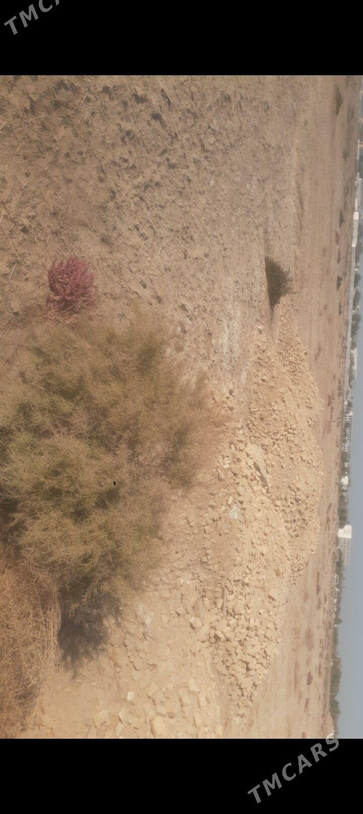 satlyk ýer  - Mary - img 2