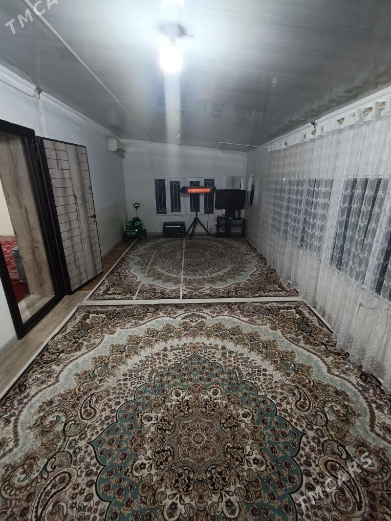 Satlyk jay - Mary - img 7