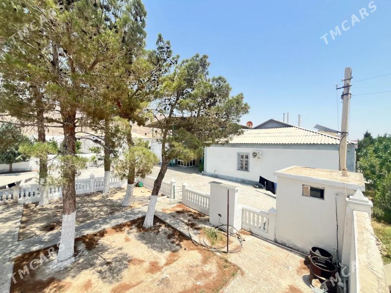 SUWÇYDA PLAN JAÝ - Balkanabat - img 2