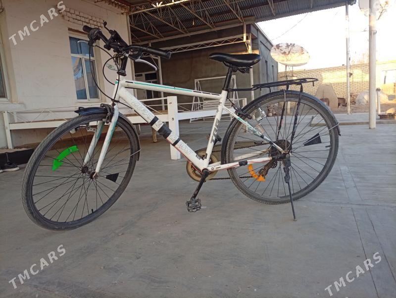 welsyped 28 - Байрамали - img 2