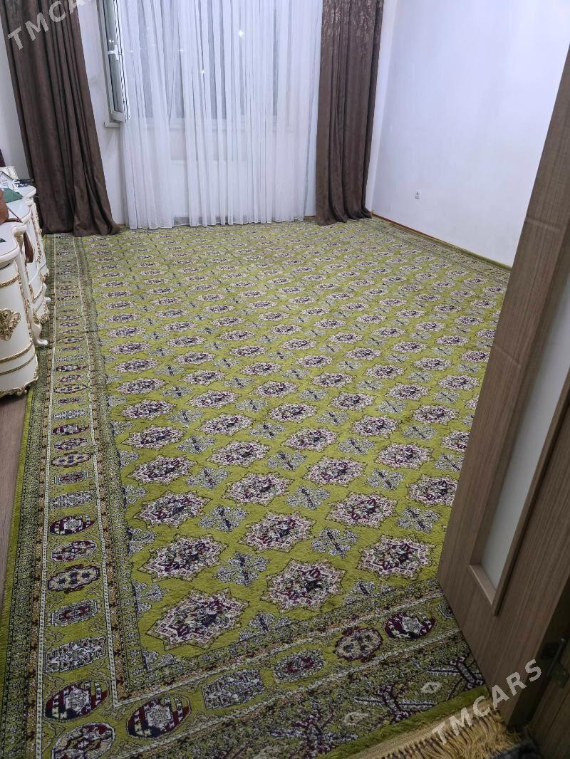 haly - Мир 8 - img 2