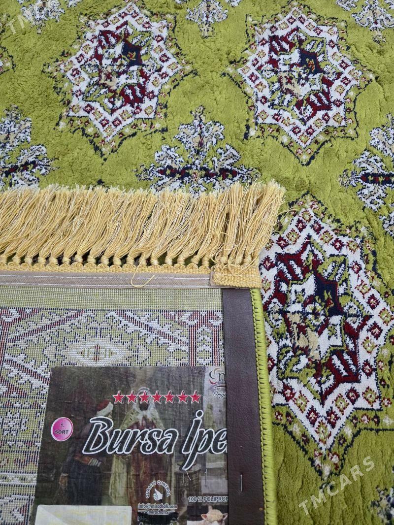 haly - Мир 8 - img 1