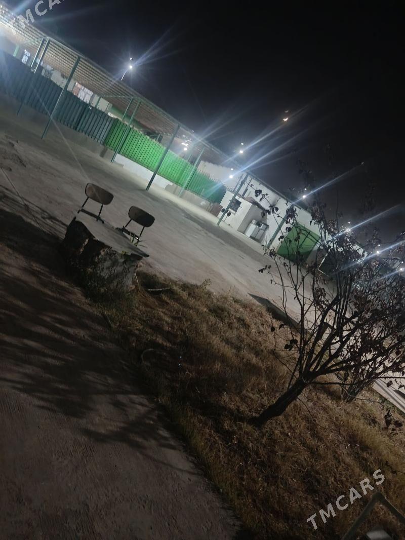 taze zaman - Täze zaman - img 5