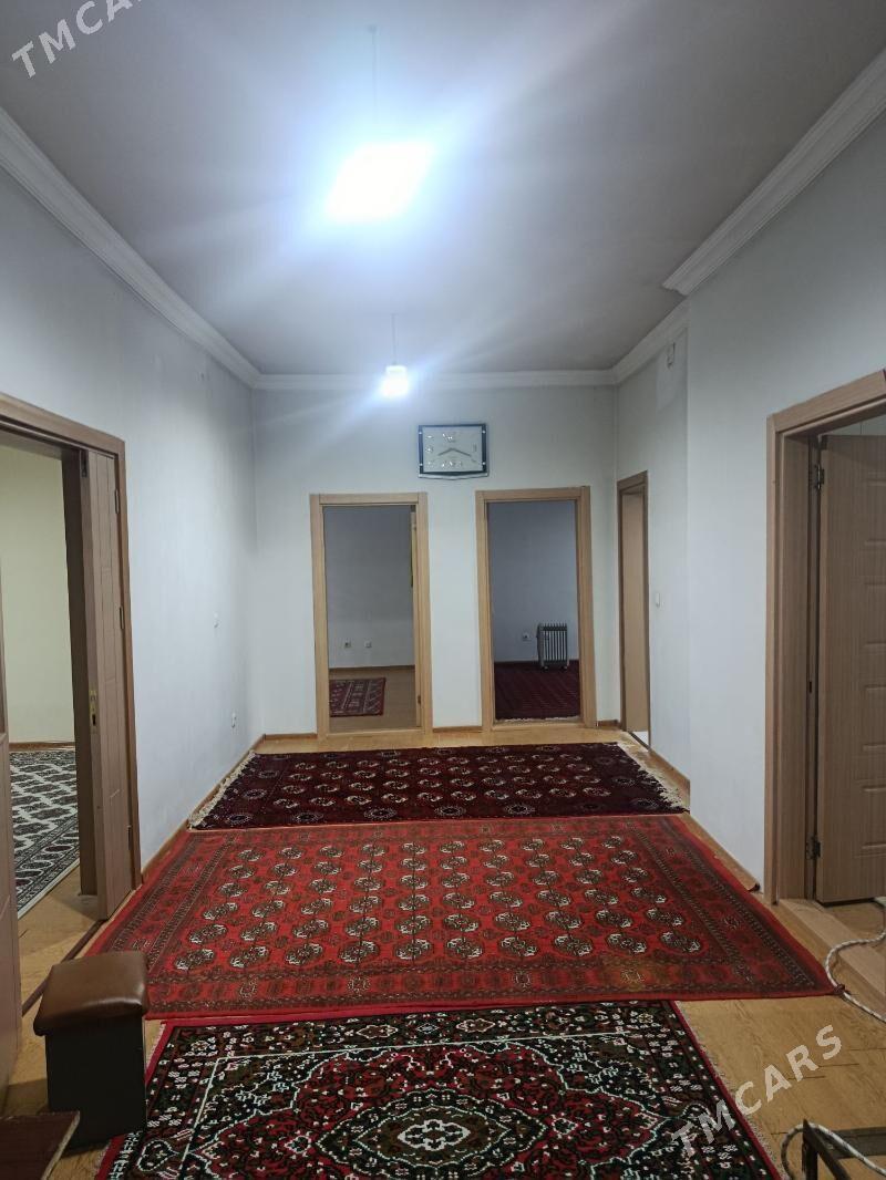 taze zaman - Täze zaman - img 6