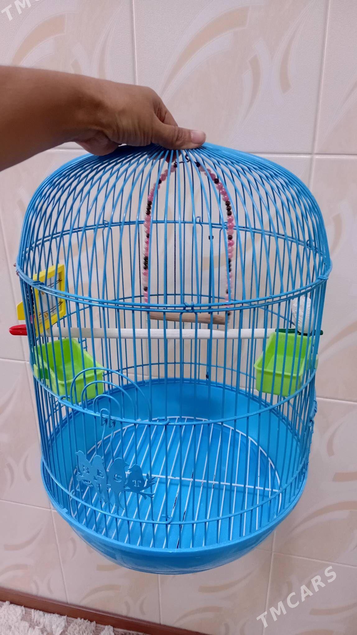 Клетка для попугая - Türkmenabat - img 1