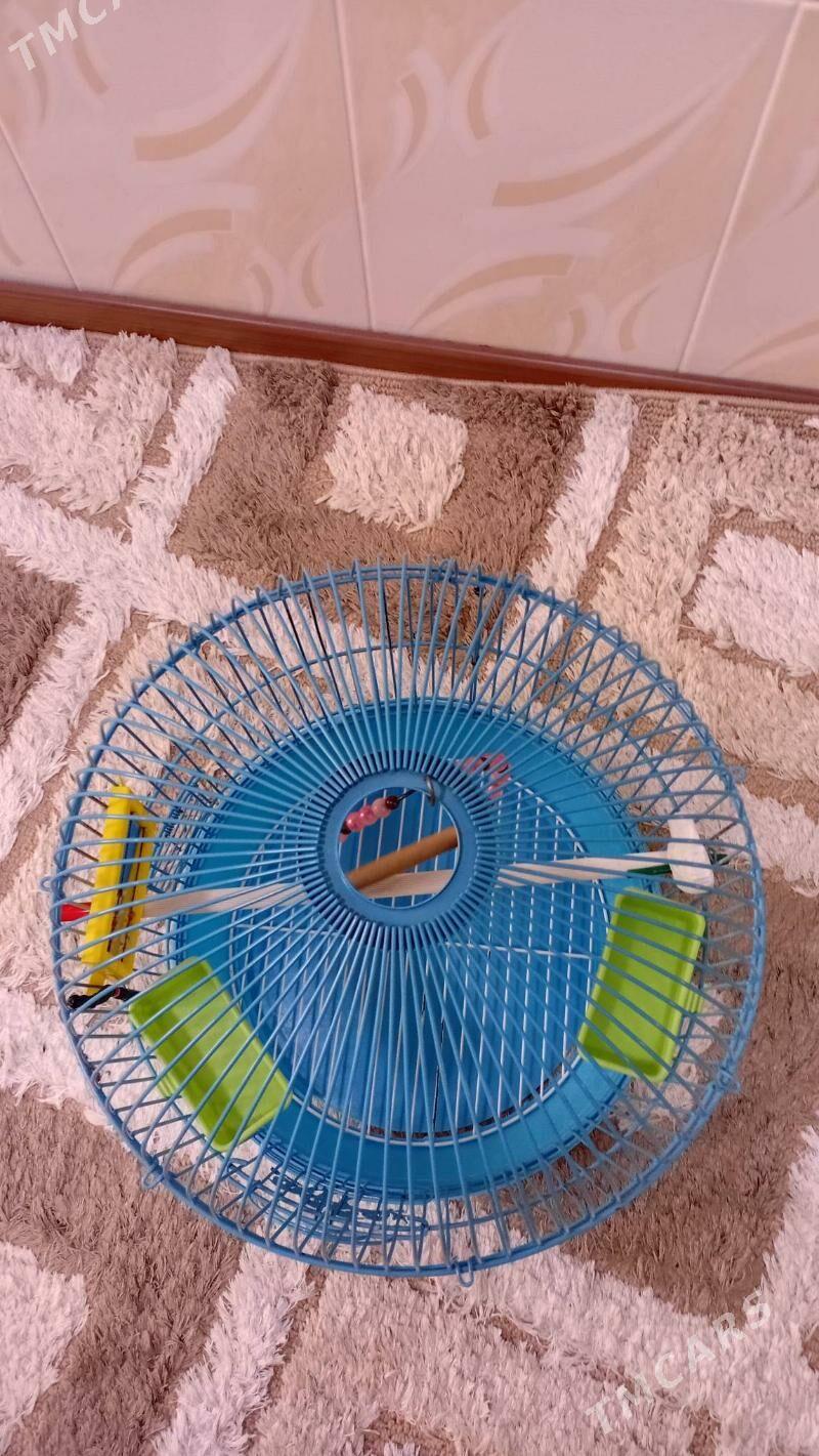 Клетка для попугая - Türkmenabat - img 4