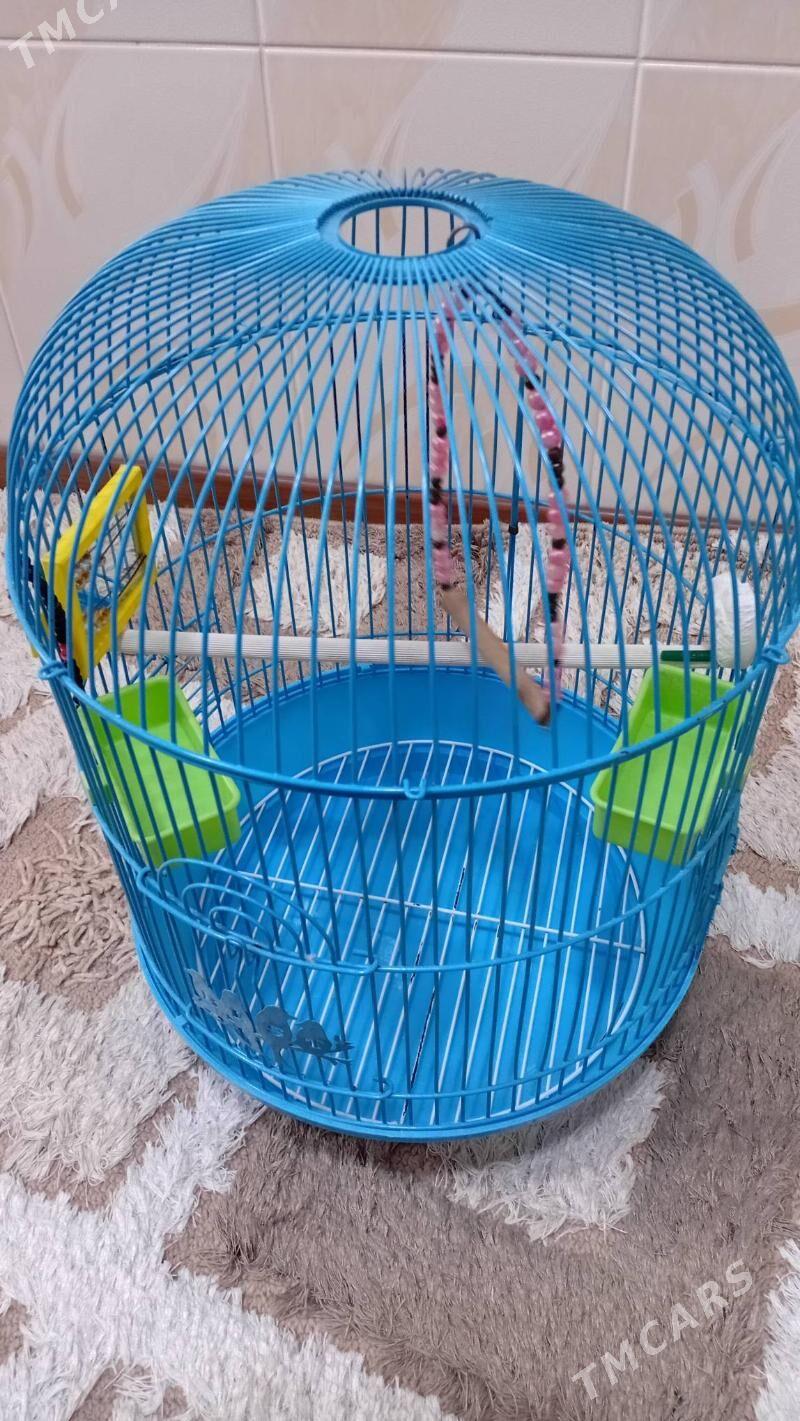 Клетка для попугая - Türkmenabat - img 3