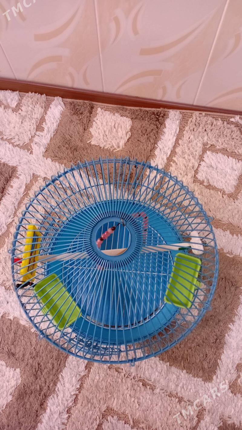 Клетка для попугая - Türkmenabat - img 2