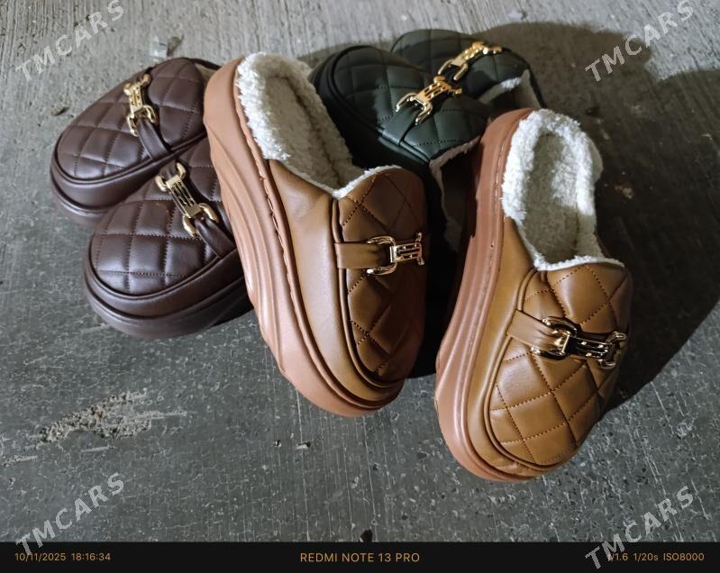 Taze gelen şilyopkalar - Mary - img 3