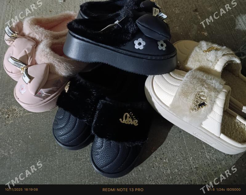 Taze gelen şilyopkalar - Mary - img 4