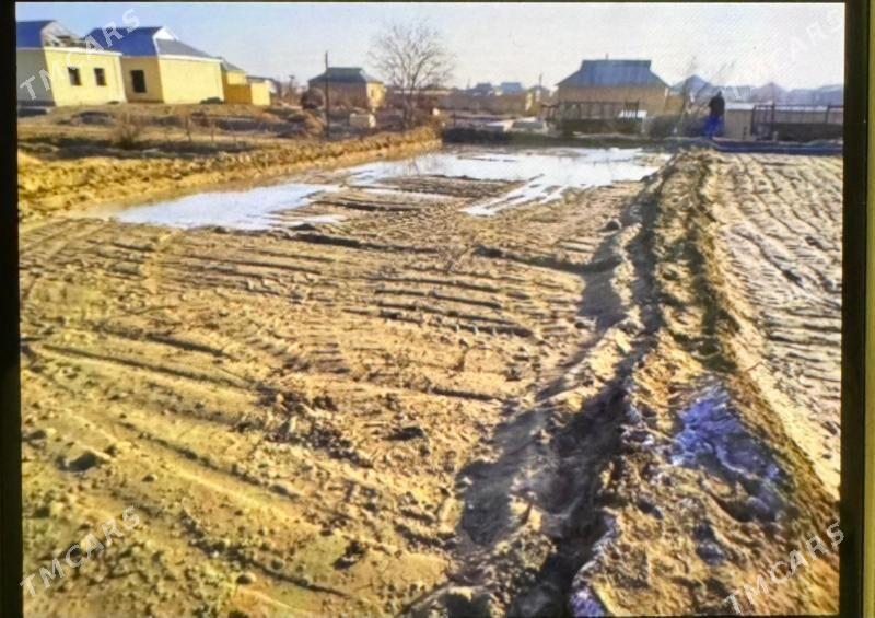 mellek - Сакарчага - img 1