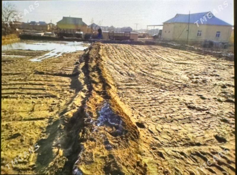 mellek - Сакарчага - img 2