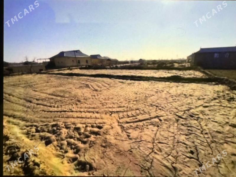 mellek - Сакарчага - img 5