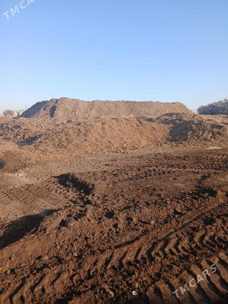 Ders - Gökdepe - img 4