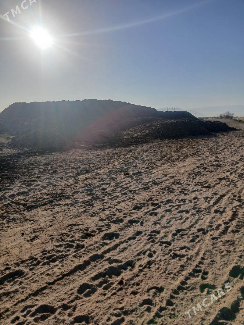 Ders - Gökdepe - img 7