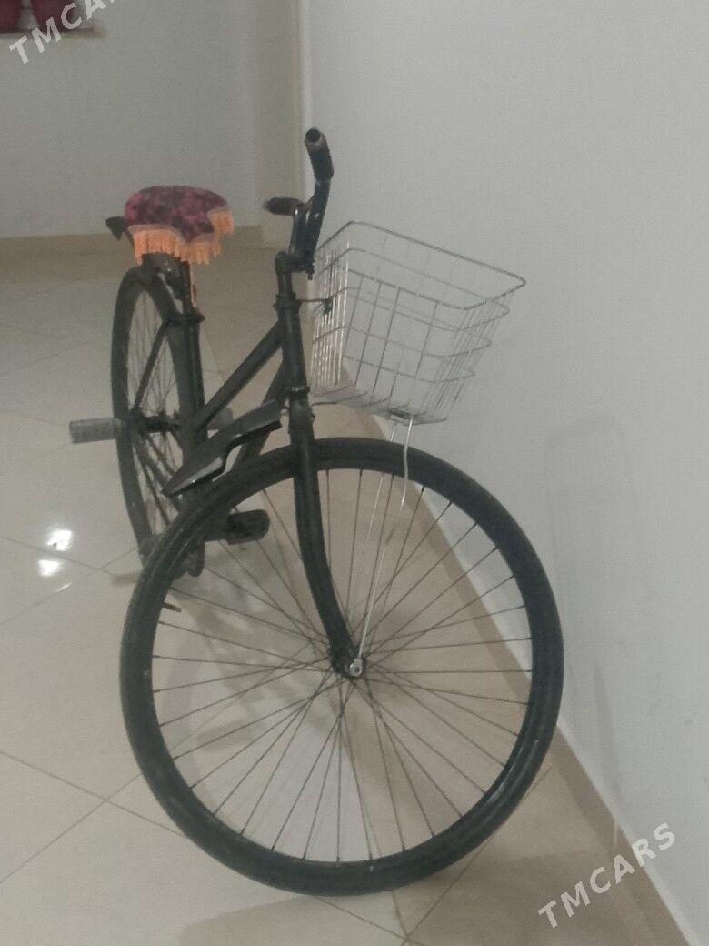 heley rama - Arkadag - img 3