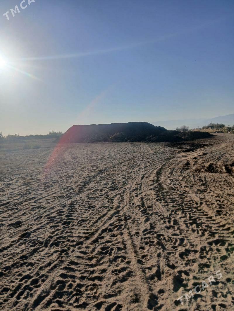 Ders - Gökdepe - img 8