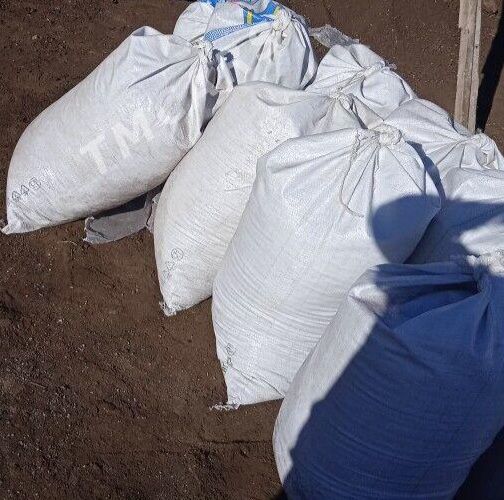 deris - Babadaýhan - img 2