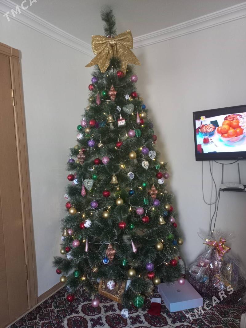 Yolka, arca - Ашхабад - img 2