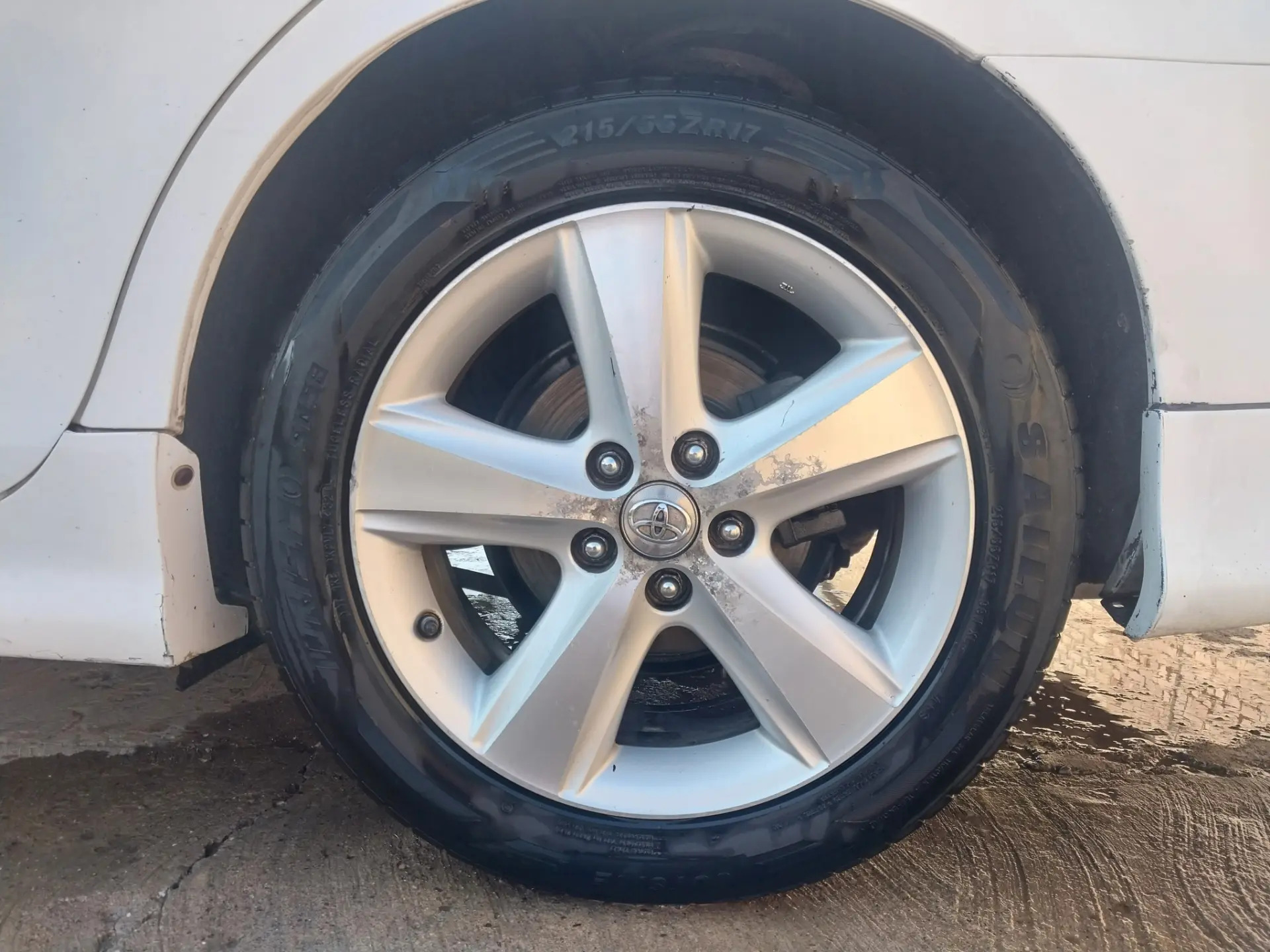 17 lik diska Obmen  16 lyk bn 3 500 TMT - Ашхабад - img 2