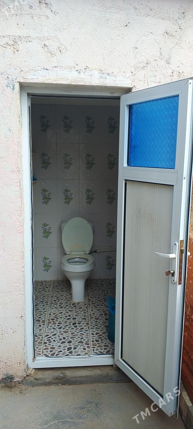 satlyk jaylar, daca - Ak bugdaý etraby - img 3