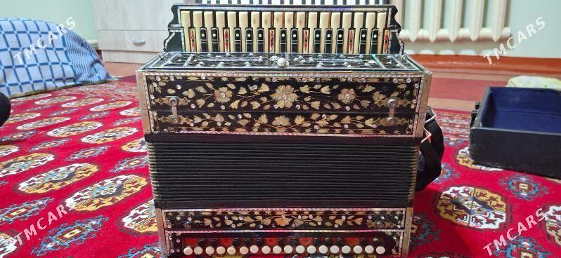 AKARDEON - Mary - img 2