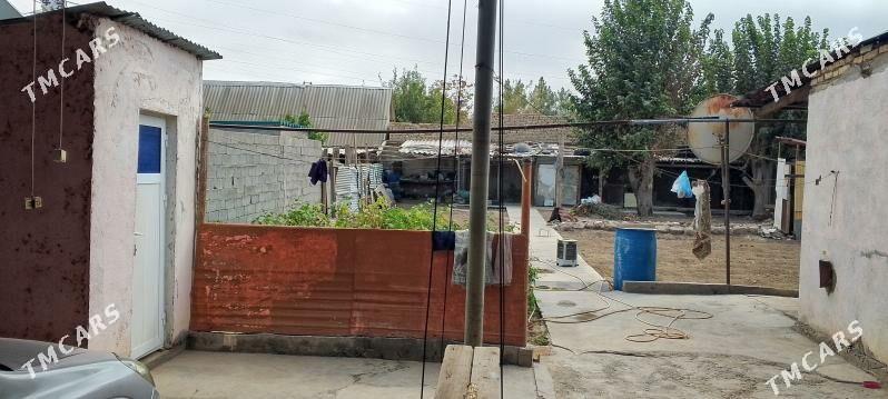 satlyk jaylar, daca - Ak bugdaý etraby - img 2