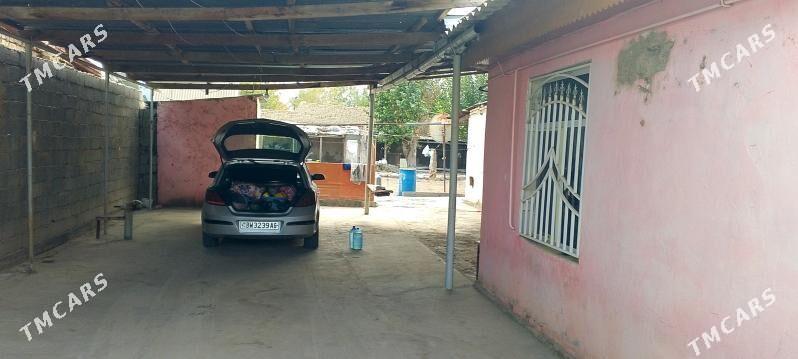 satlyk jaylar, daca - Ak bugdaý etraby - img 1