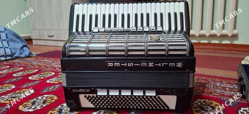 AKARDEON - Mary - img 5