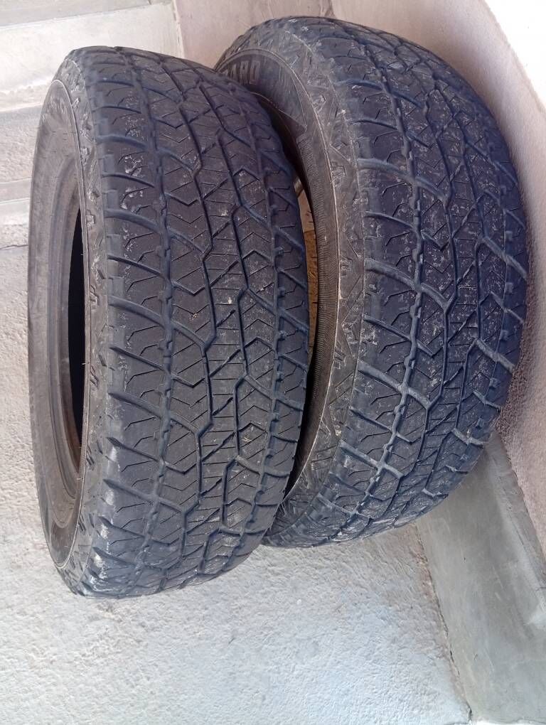 Teker 700 TMT - Mary - img 2