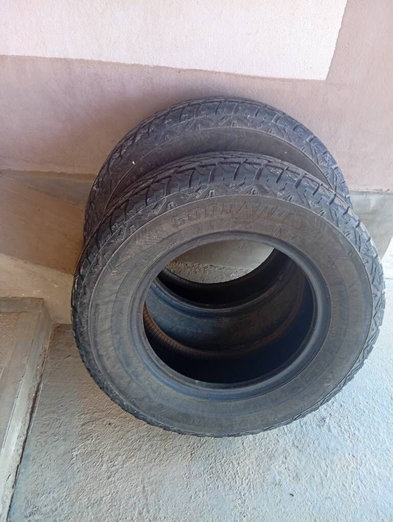 Teker 700 TMT - Mary - img 3