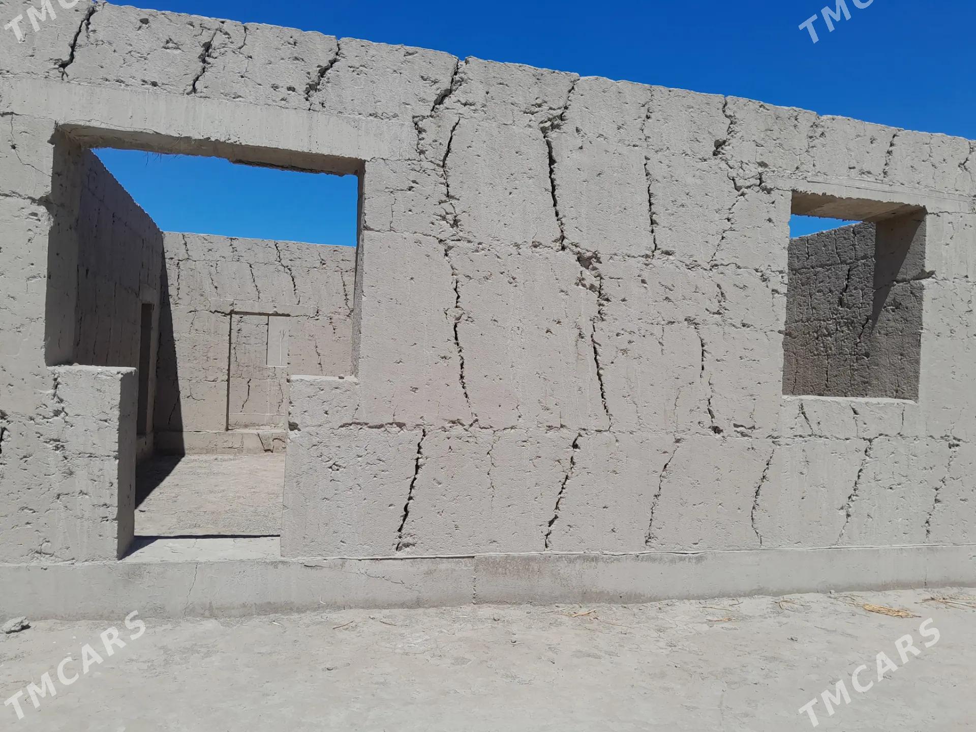 jay - Гороглы (Тагта) - img 3