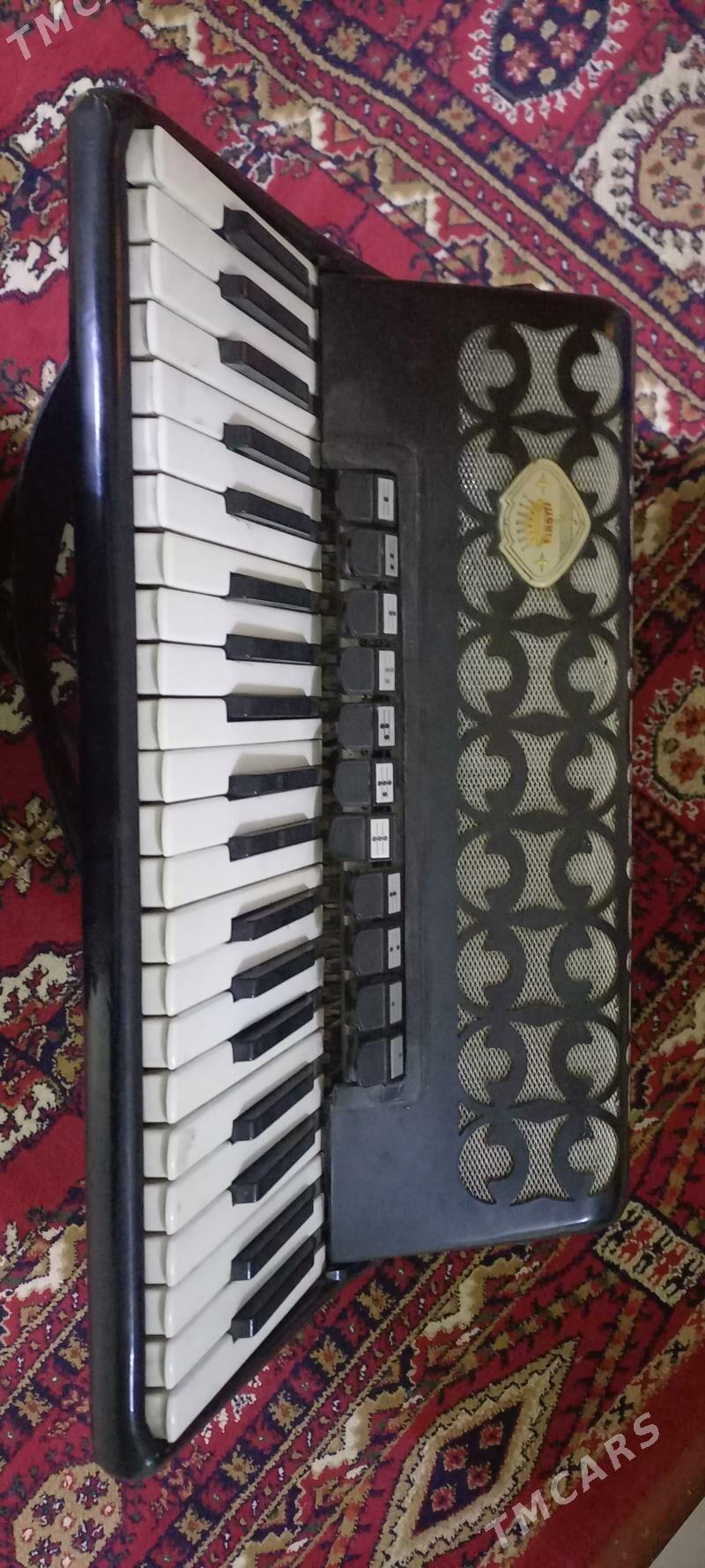 Akkordeon - Gökdepe - img 2