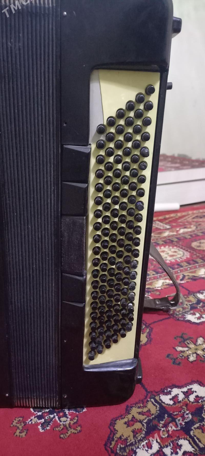 Akkordeon - Gökdepe - img 3