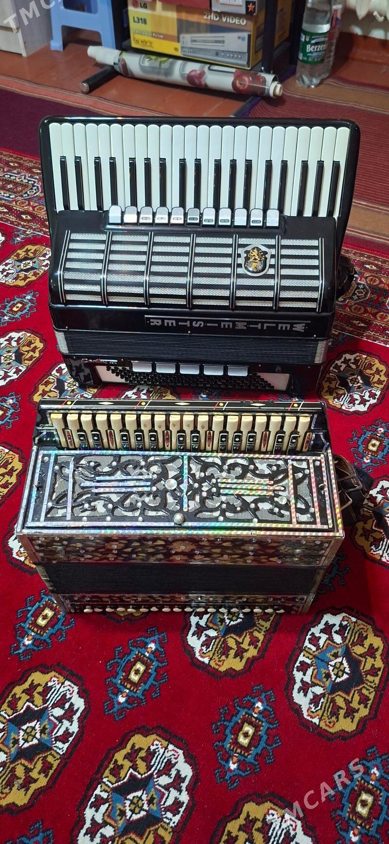 AKARDEON - Mary - img 3