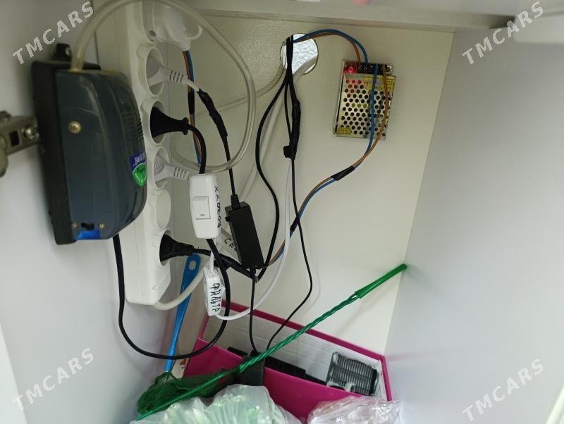 Аквариум рыбки - Бузмеин - img 3